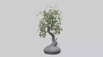 Cascade Plant Sculpture model VR / AR / low-poly