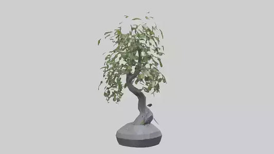 Cascade Plant Sculpture model VR / AR / low-poly