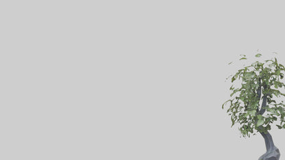 Cascade Plant Sculpture model VR / AR / low-poly