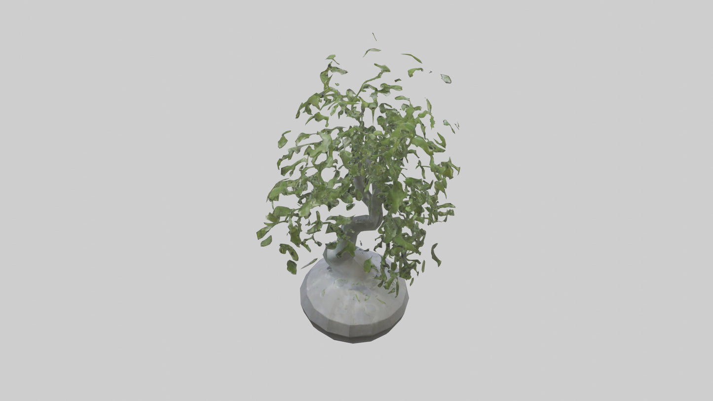 Cascade Plant Sculpture model VR / AR / low-poly