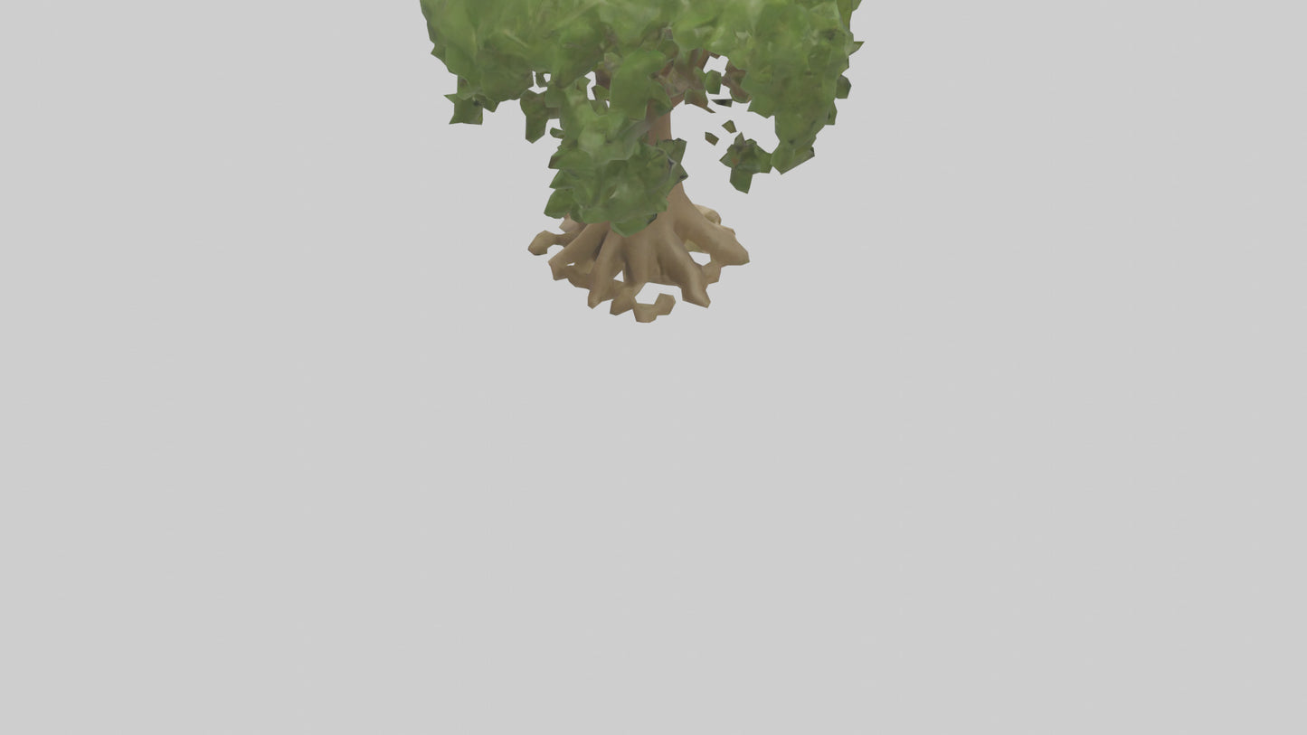 Cashew tree model 3D model