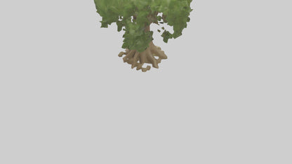 Cashew tree model 3D model
