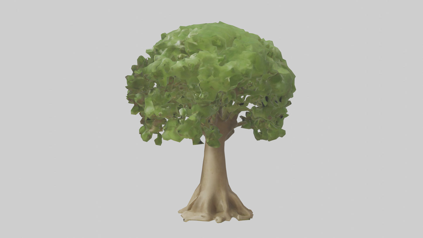 Cashew tree model 3D model