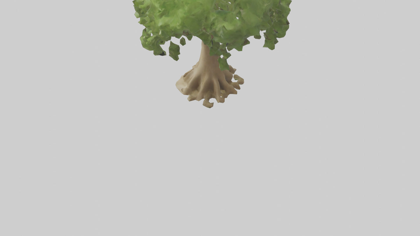 Cashew tree model 3D model