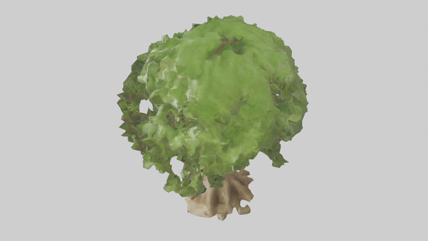 Cashew tree model 3D model