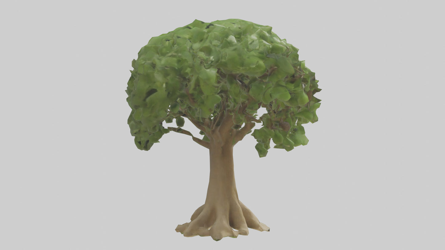 Cashew tree model 3D model