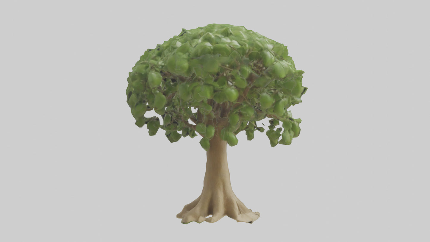 Cashew tree model 3D model