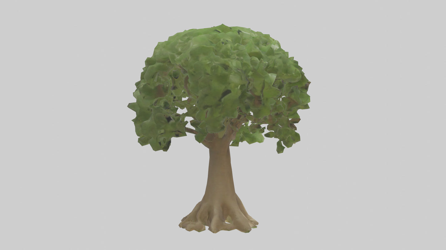 Cashew tree model 3D model