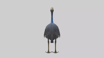 Cassowary stalking model 3D model