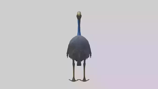 Cassowary stalking model 3D model