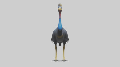 Cassowary stalking model 3D model