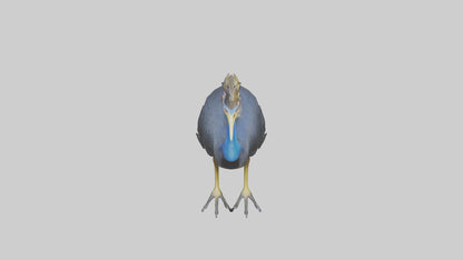 Cassowary stalking model 3D model