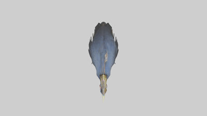 Cassowary stalking model 3D model