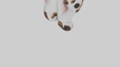 Cat Paws 3D model