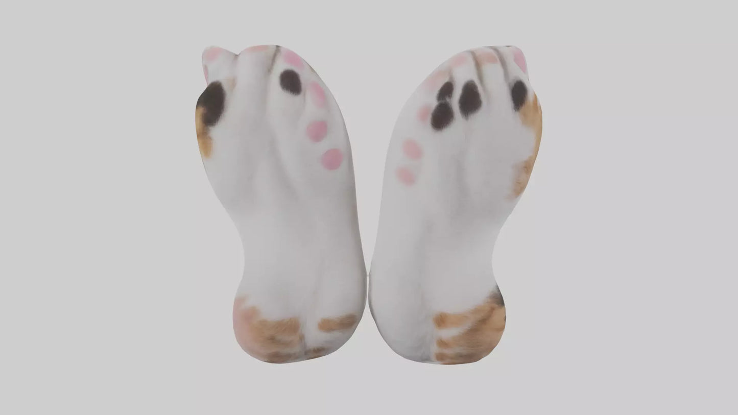 Cat Paws 3D model
