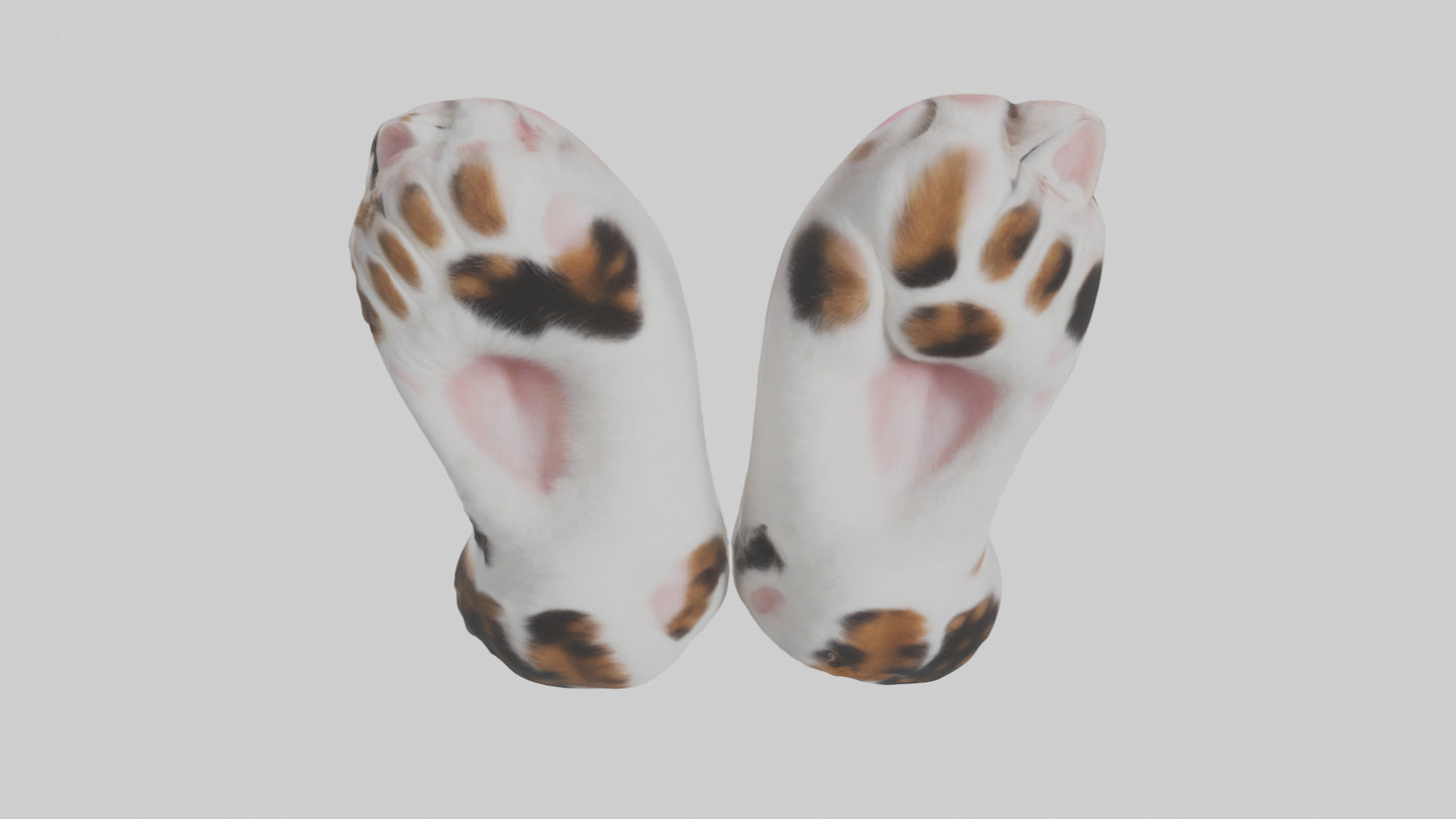 Cat Paws 3D model