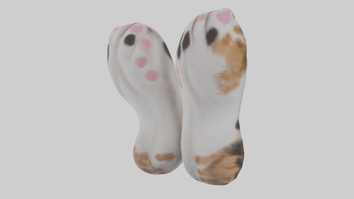 Cat Paws 3D model