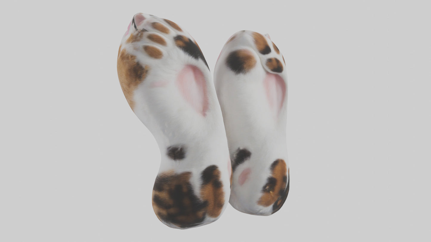Cat Paws 3D model
