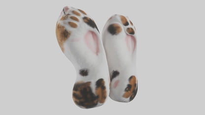 Cat Paws 3D model