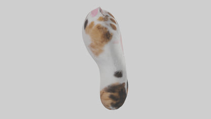 Cat Paws 3D model