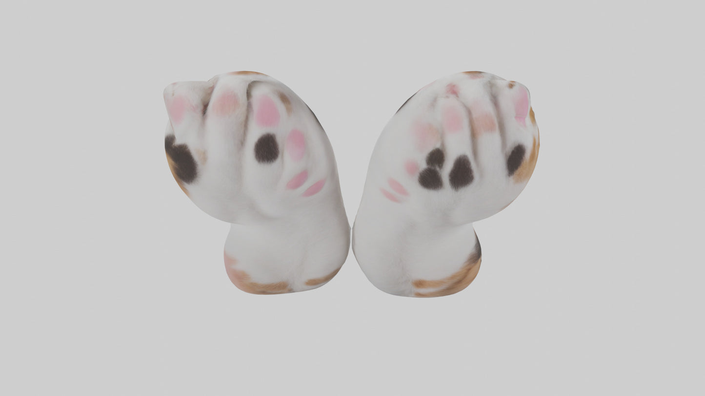 Cat Paws 3D model
