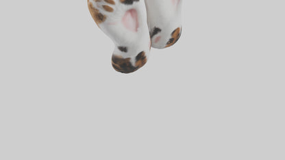 Cat Paws 3D model
