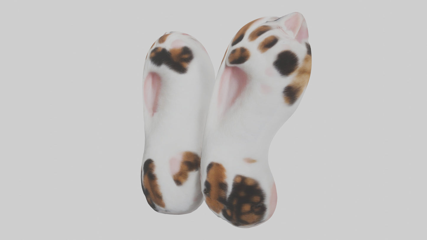 Cat Paws 3D model