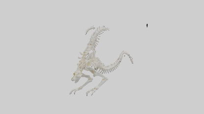 Cat Tail Skeleton model 3D model