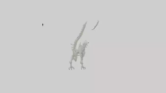 Cat Tail Skeleton model 3D model