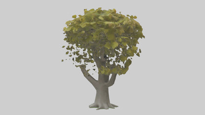 Catalpa tree model 3D model