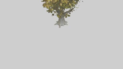 Catalpa tree model 3D model