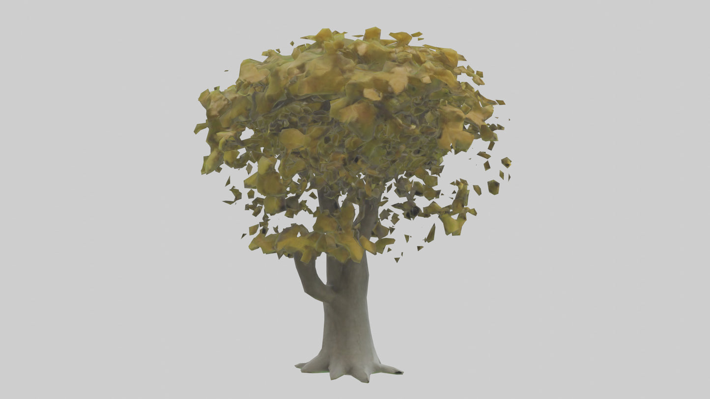 Catalpa tree model 3D model