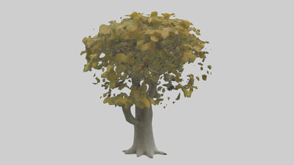 Catalpa tree model 3D model