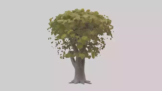 Catalpa tree model 3D model