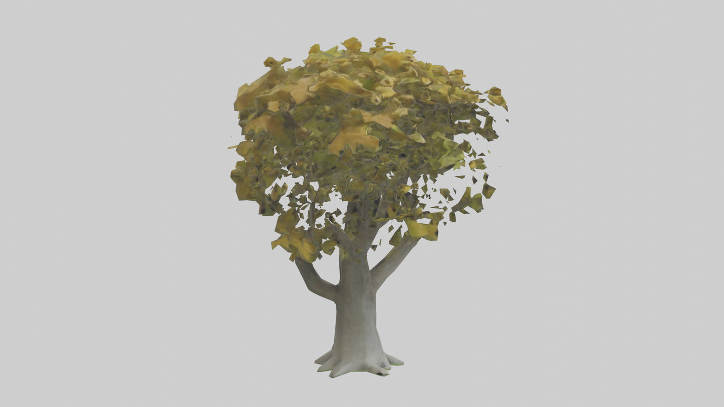 Catalpa tree model 3D model