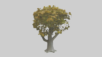 Catalpa tree model 3D model