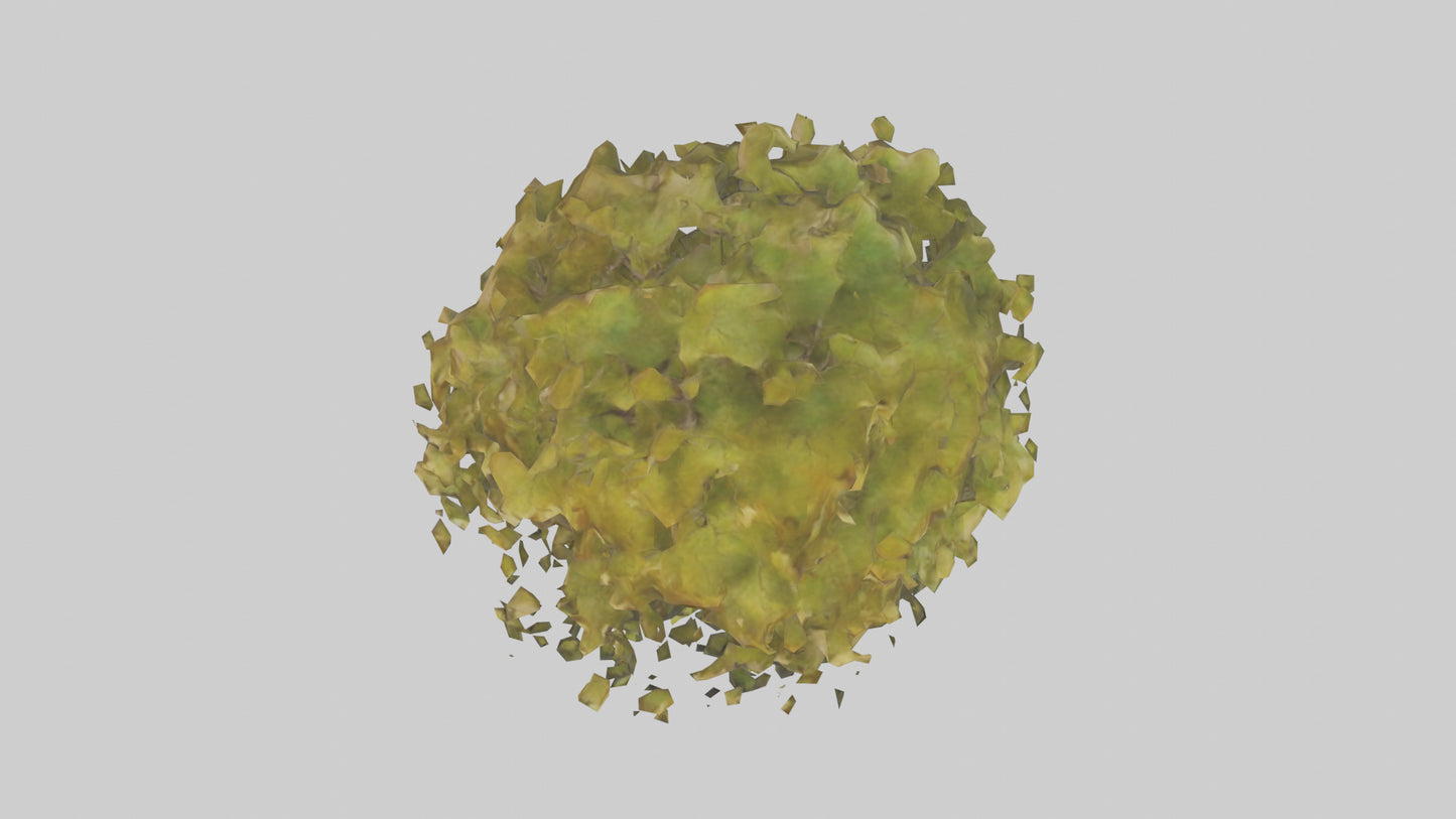 Catalpa tree model 3D model