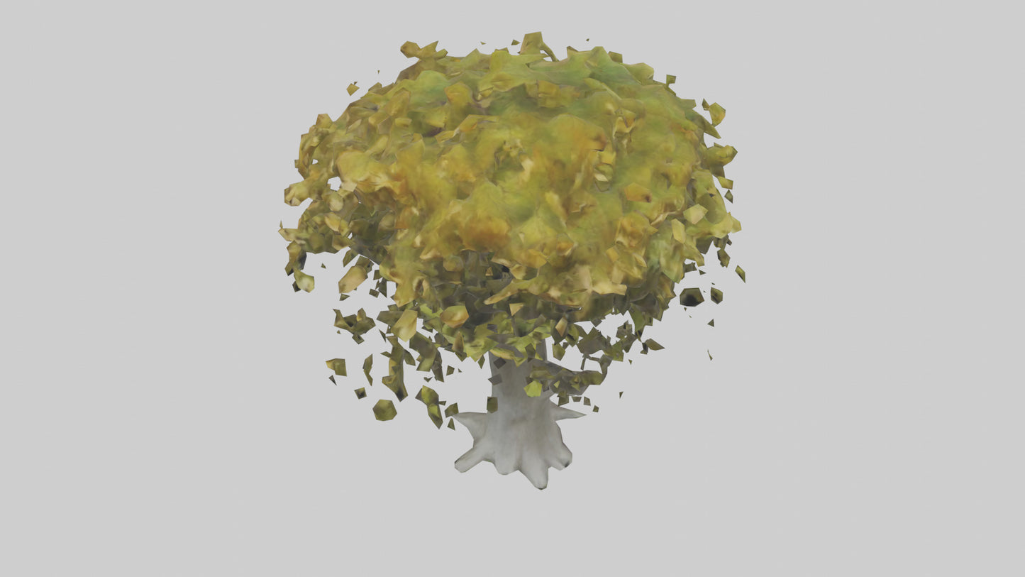 Catalpa tree model 3D model