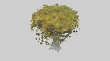 Catalpa tree model 3D model
