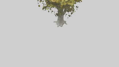 Catalpa tree model 3D model