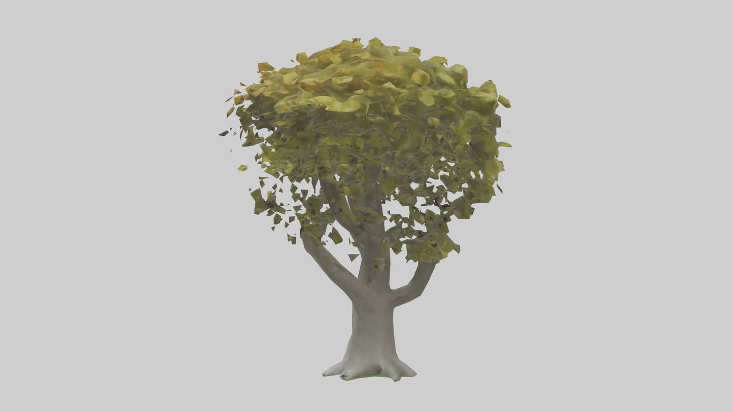 Catalpa tree model 3D model