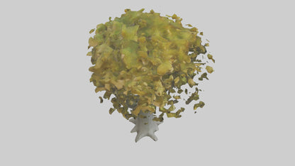 Catalpa tree model 3D model