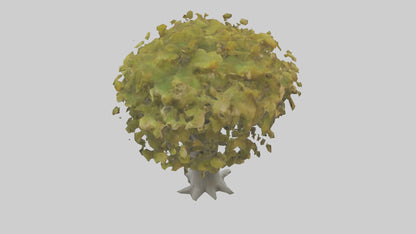 Catalpa tree model 3D model
