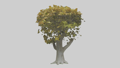 Catalpa tree model 3D model