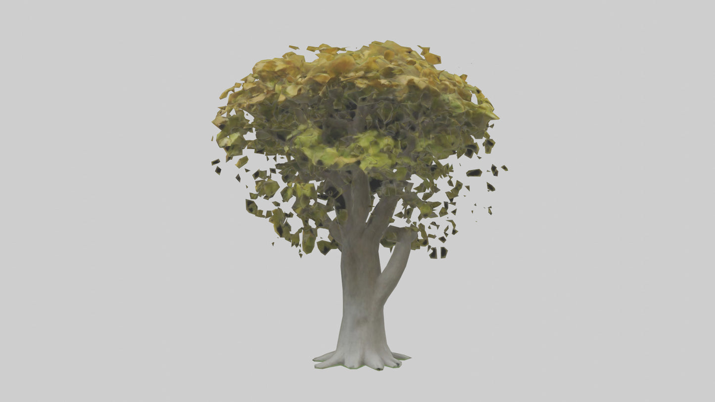 Catalpa tree model 3D model