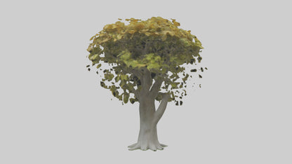 Catalpa tree model 3D model