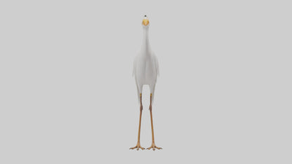 Cattle Egret standing model 3D model