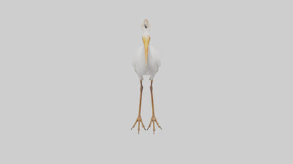 Cattle Egret standing model 3D model