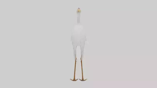 Cattle Egret standing model 3D model