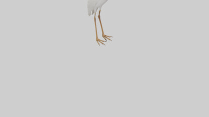 Cattle Egret standing model 3D model